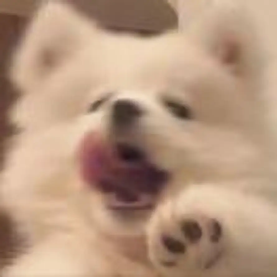 .的头像