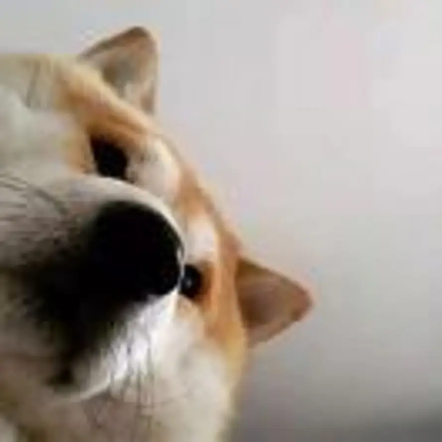 哩哩啦啦 的头像