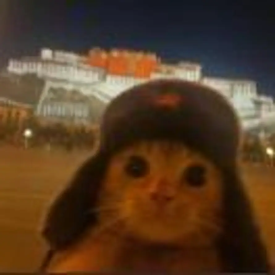 寻我的头像