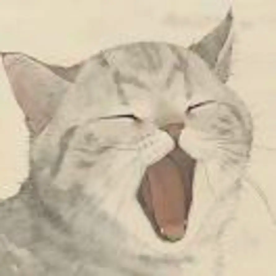 ifeucwyjvfyin的头像