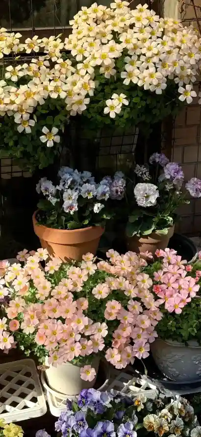 主题背景图片