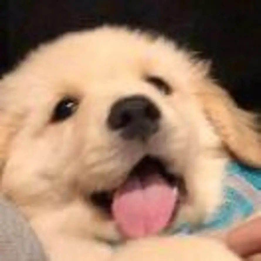 彳亍的头像