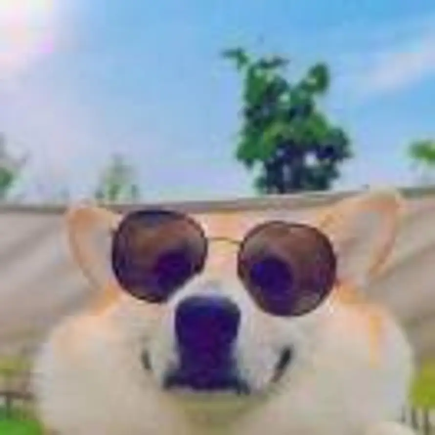 夏日的风的头像