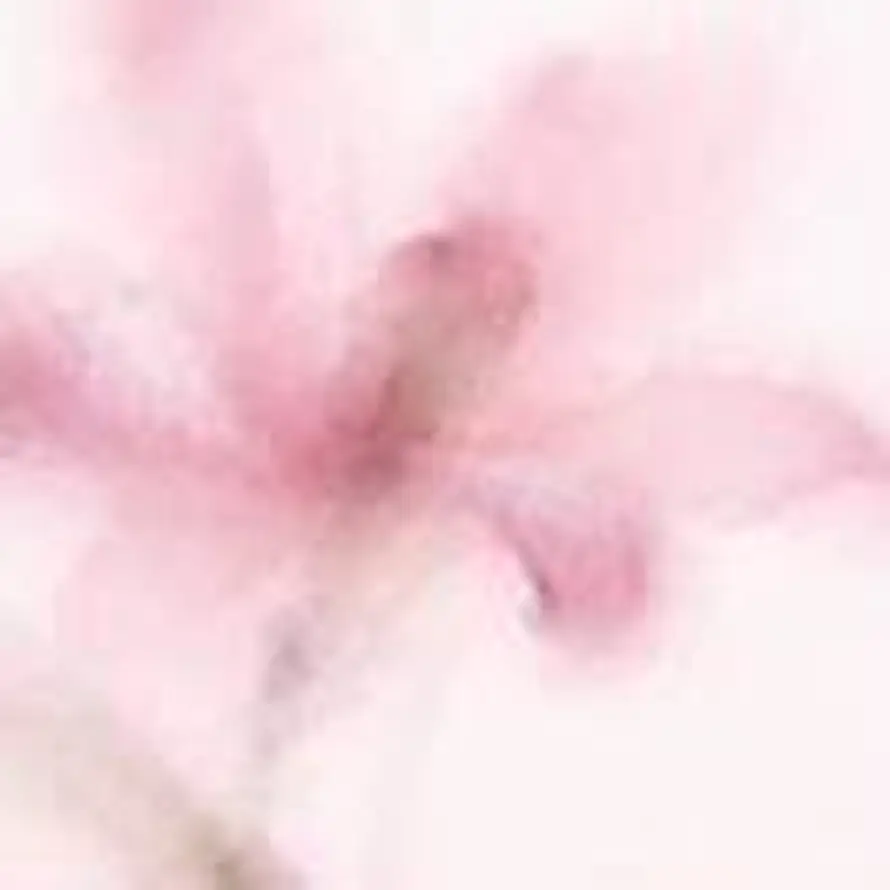 调皮皮DD的头像