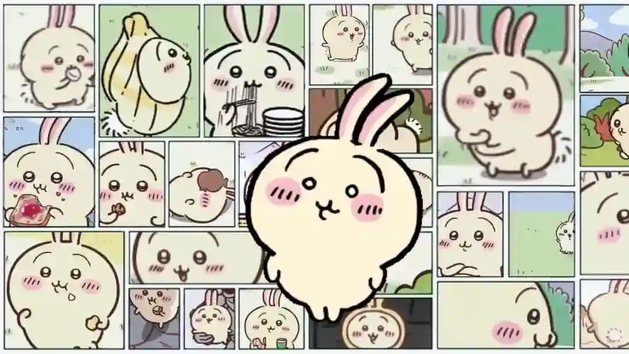最喜欢的图像