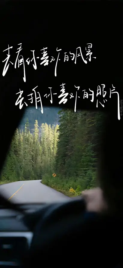 4k治愈壁纸 - 窗外 - 绿植 - 草地「哲风壁纸」
