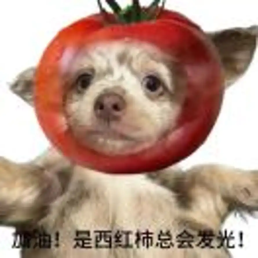 邪恶特麻头🍅的头像