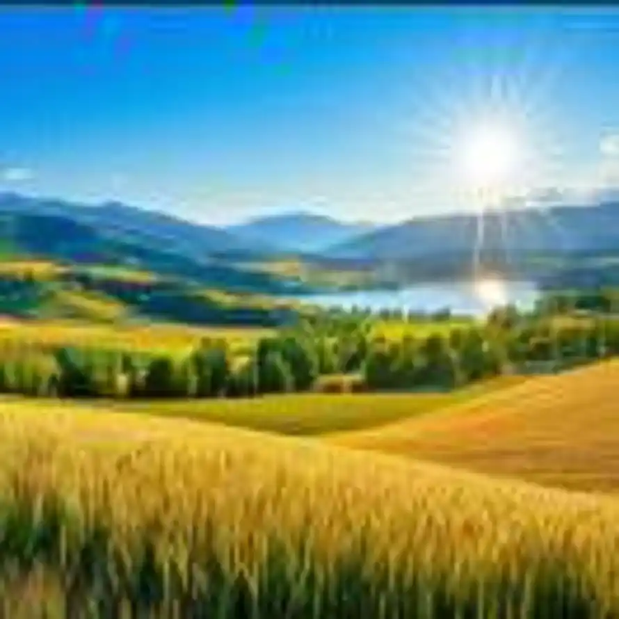 吕金泰的头像