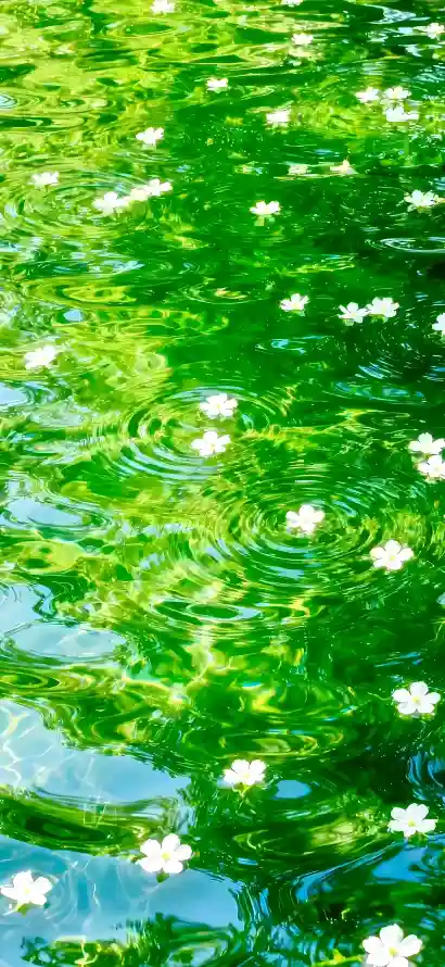 4k春日壁纸 - 水面 - 湖水 - 自然「哲风壁纸」