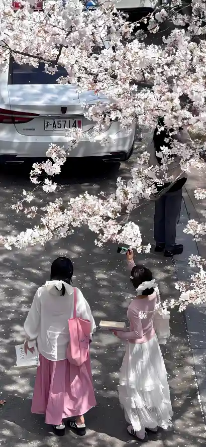 4k女孩壁纸 - 少女 - 户外 - 春日「哲风壁纸」