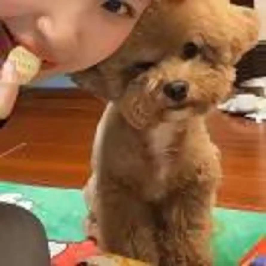 Hh的头像