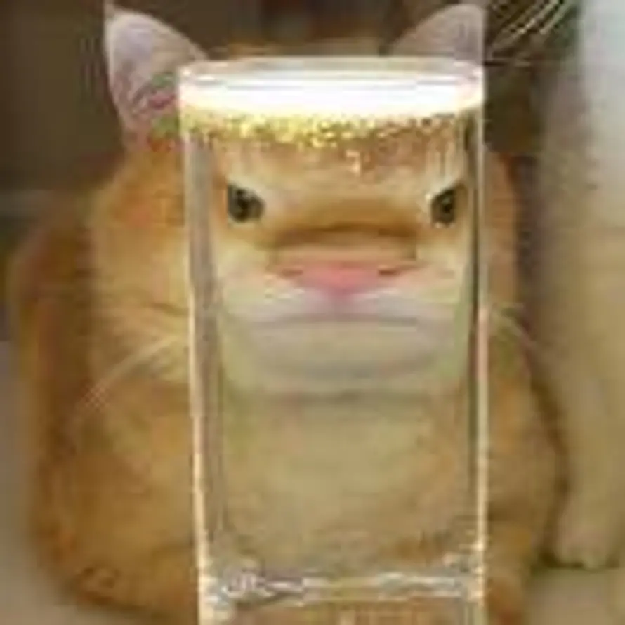 。的头像