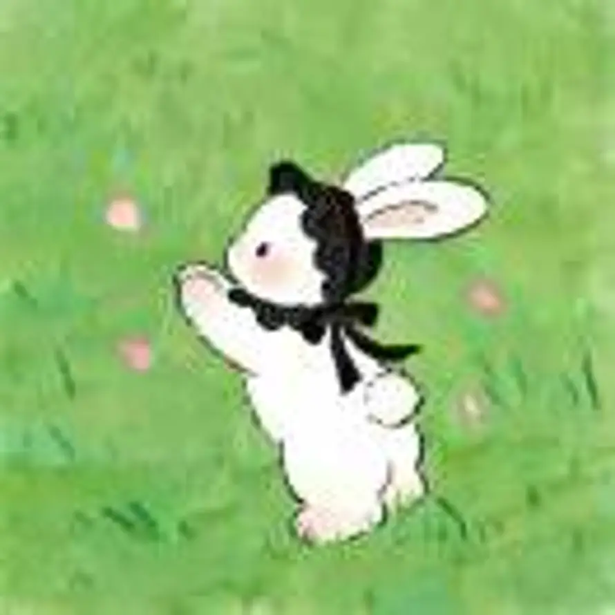 树上有只🐰的头像