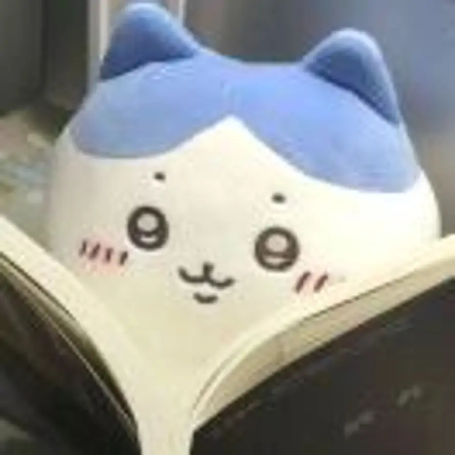 ㅤ的头像