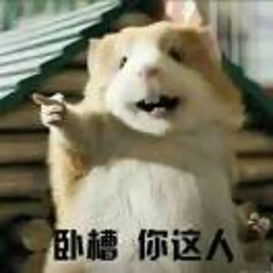 后天的头像