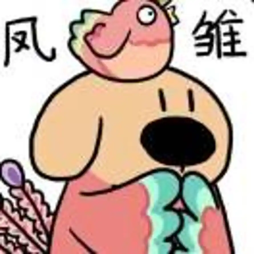 易新锦的头像