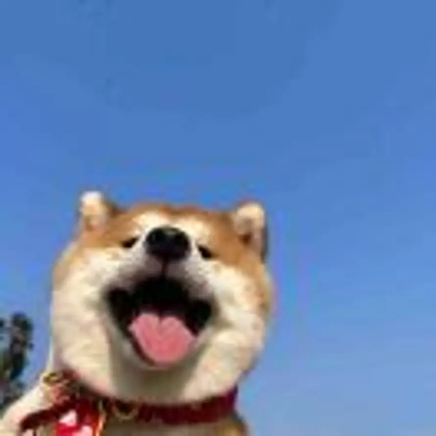 Joy、的头像