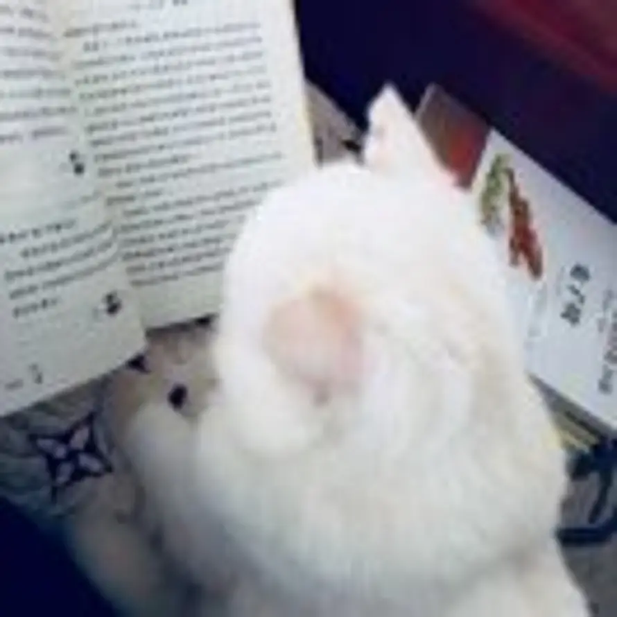 July的头像