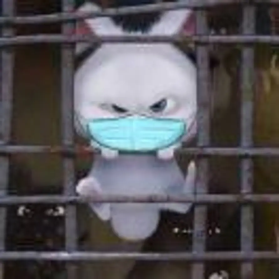 小麒的头像