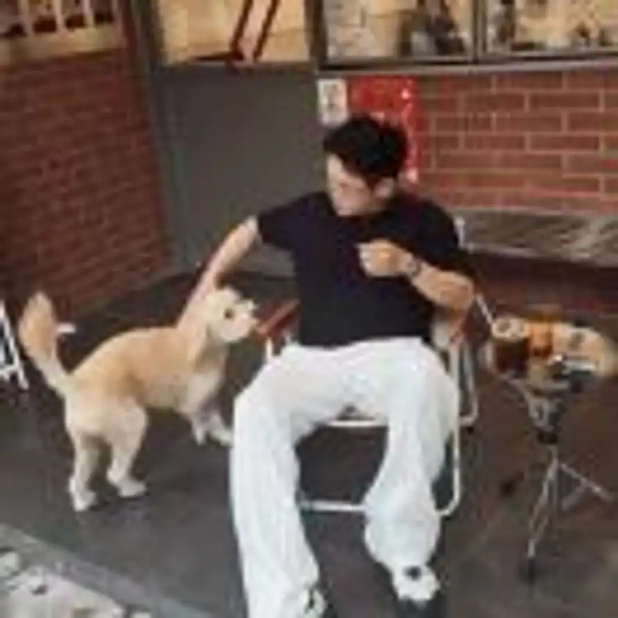 不文的头像