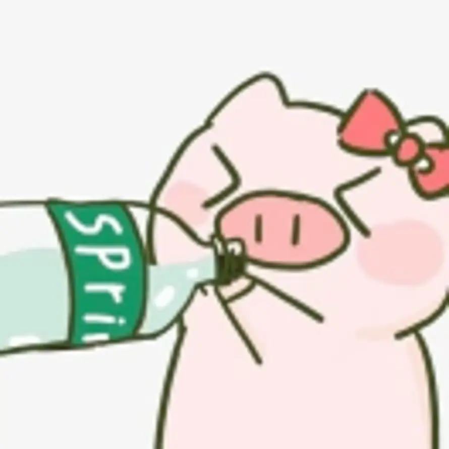 念初的头像