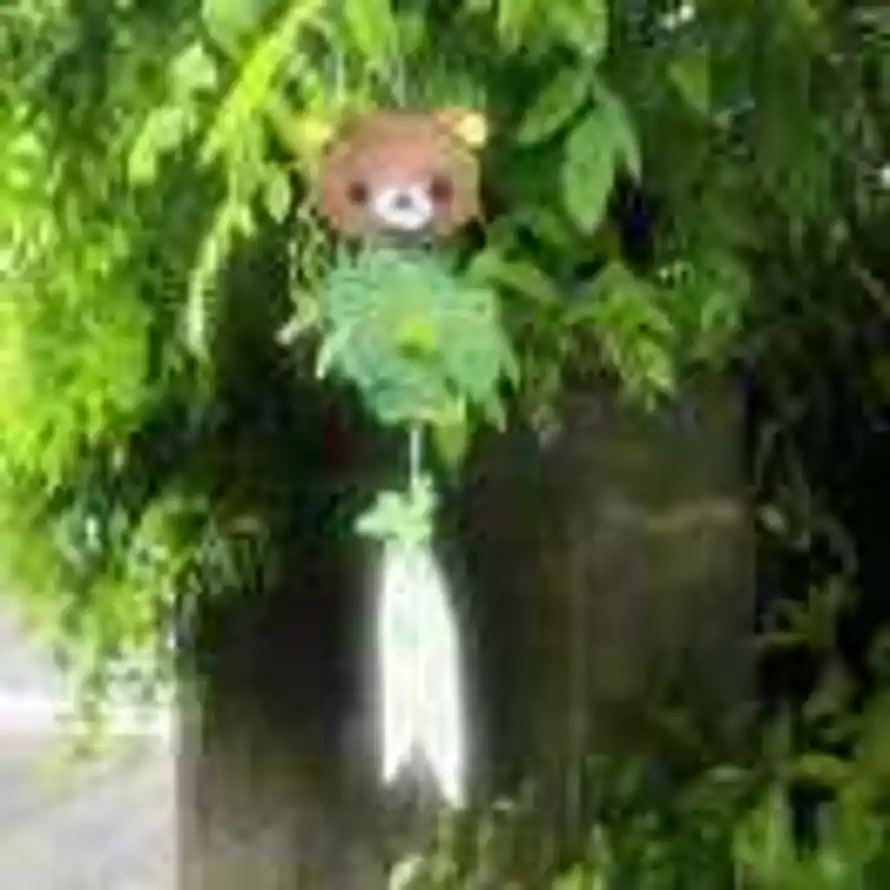 🐻的头像