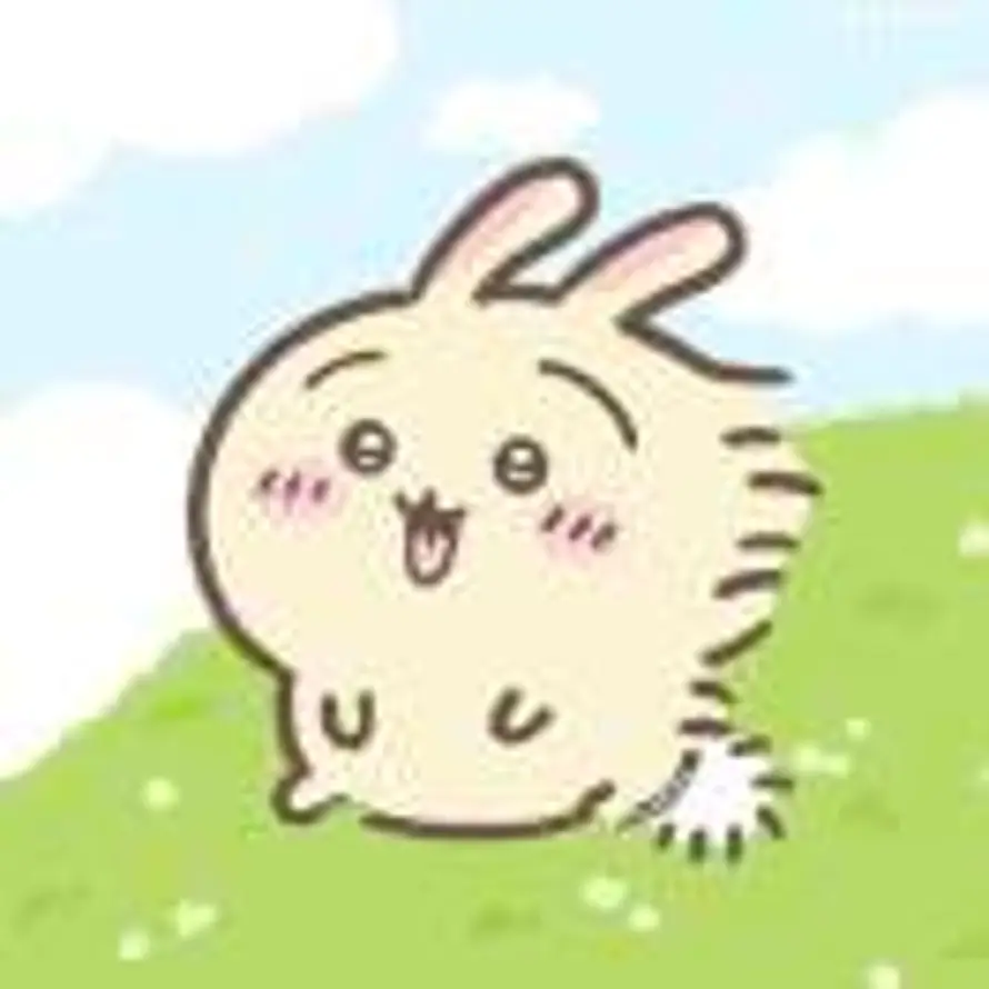 风信的头像