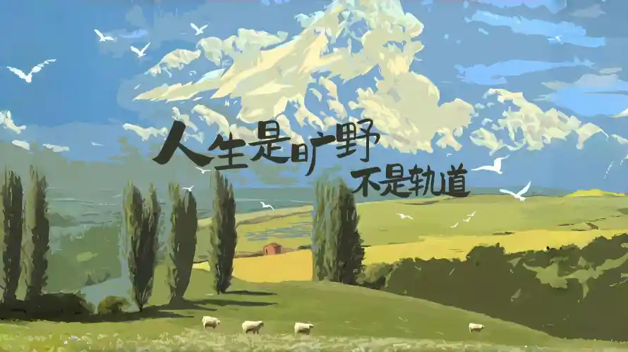 最喜欢的图像