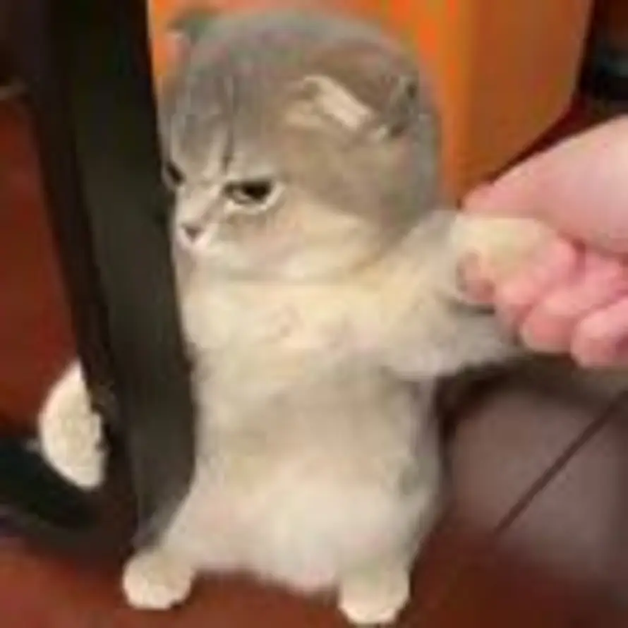 Akhjg的头像