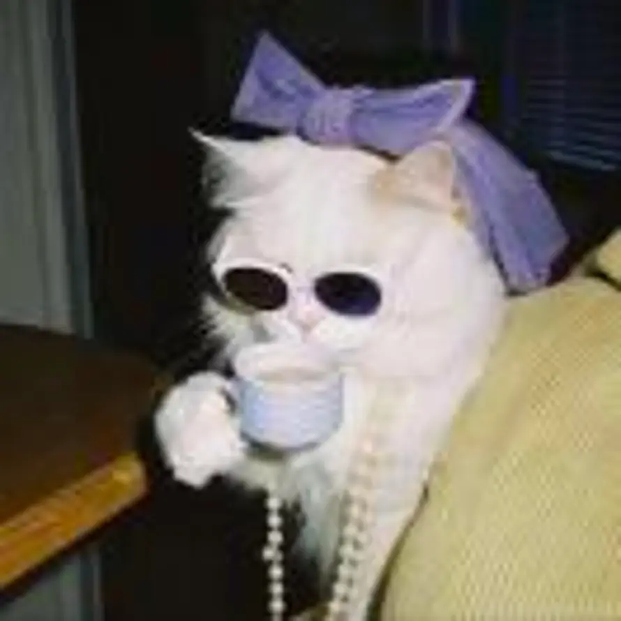 Caffeine的头像