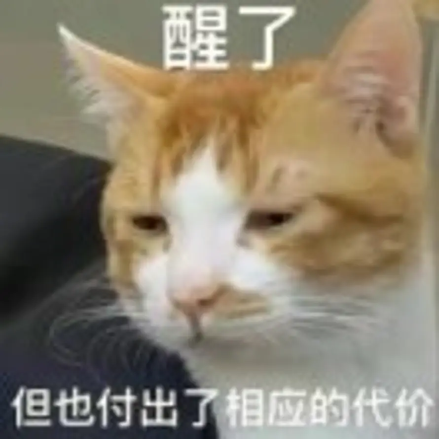 醒了 的头像