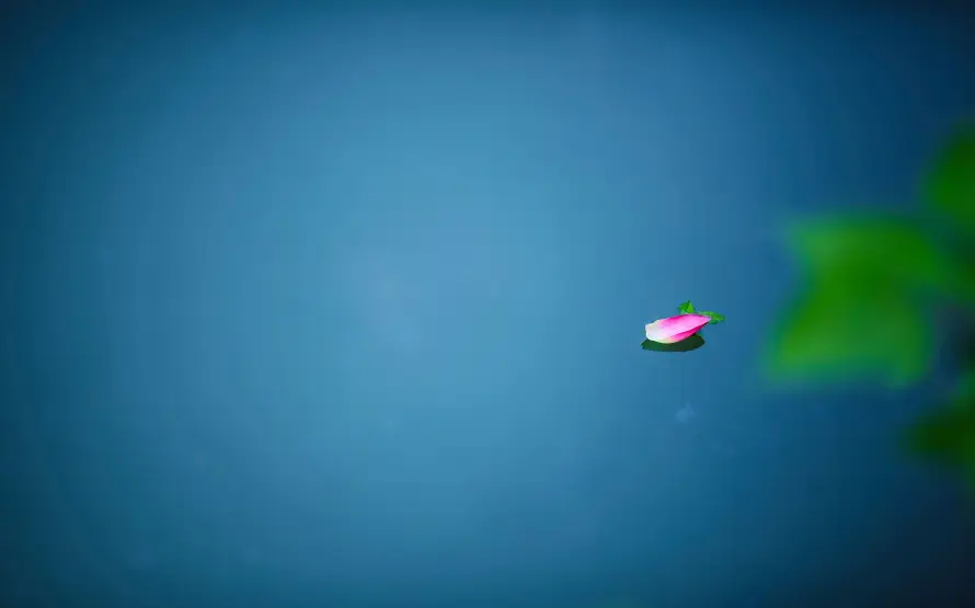 4k水景壁纸 - 水面 - 湖面 - 粉色「哲风壁纸」 4k水景壁纸 - 水面 - 湖面 - 粉色「哲风壁纸」