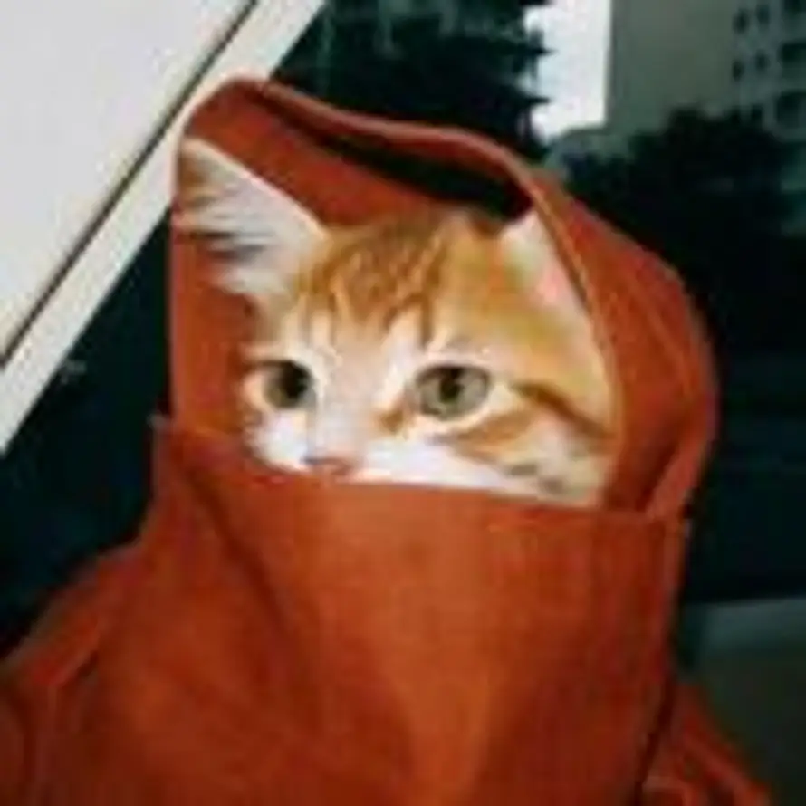 蒙面人的头像