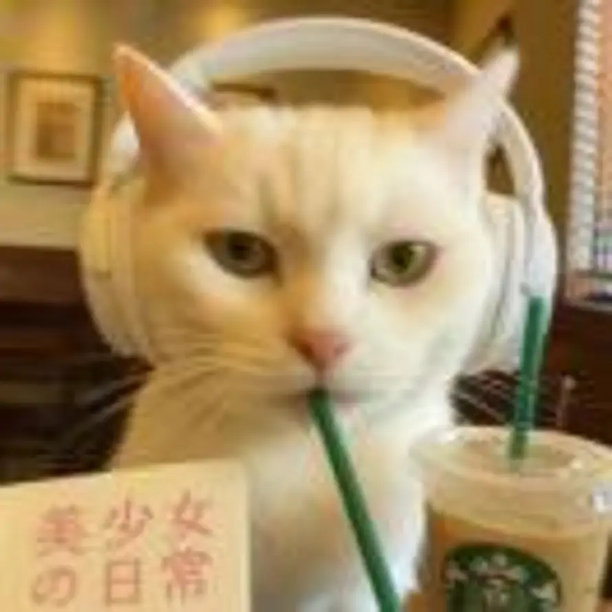 香蕉穗咪的头像
