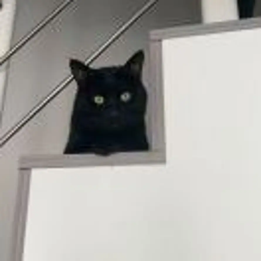 完生的头像