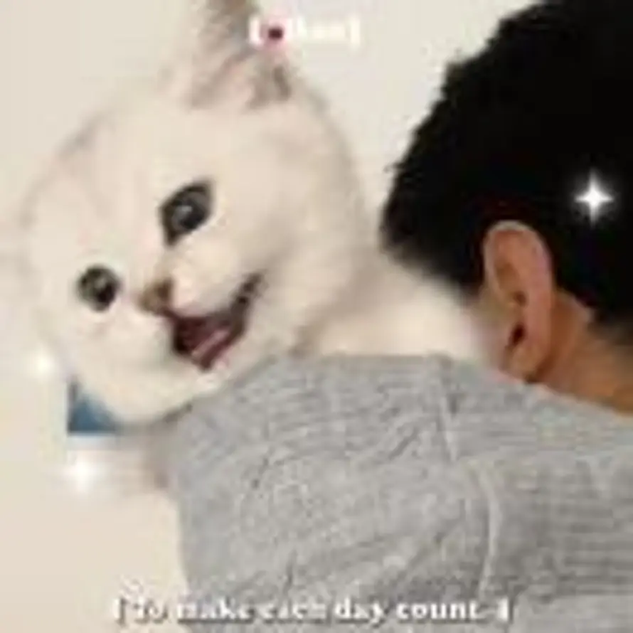 MNOTUV的头像