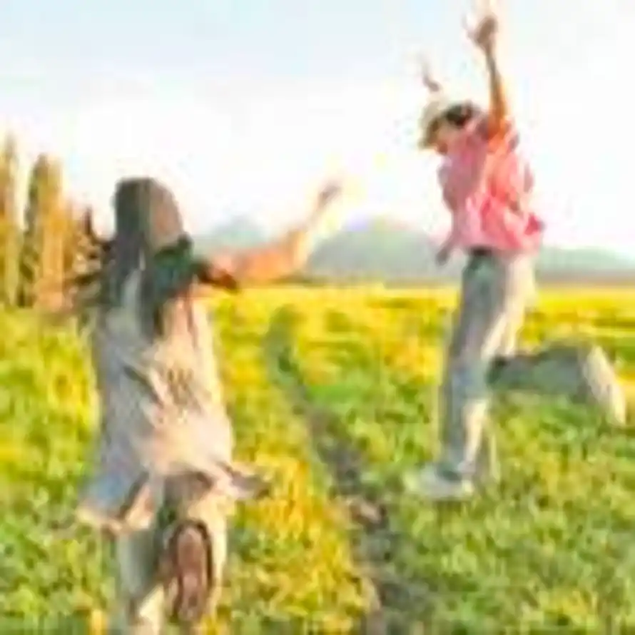清晏的用户头像 - 哲风壁纸