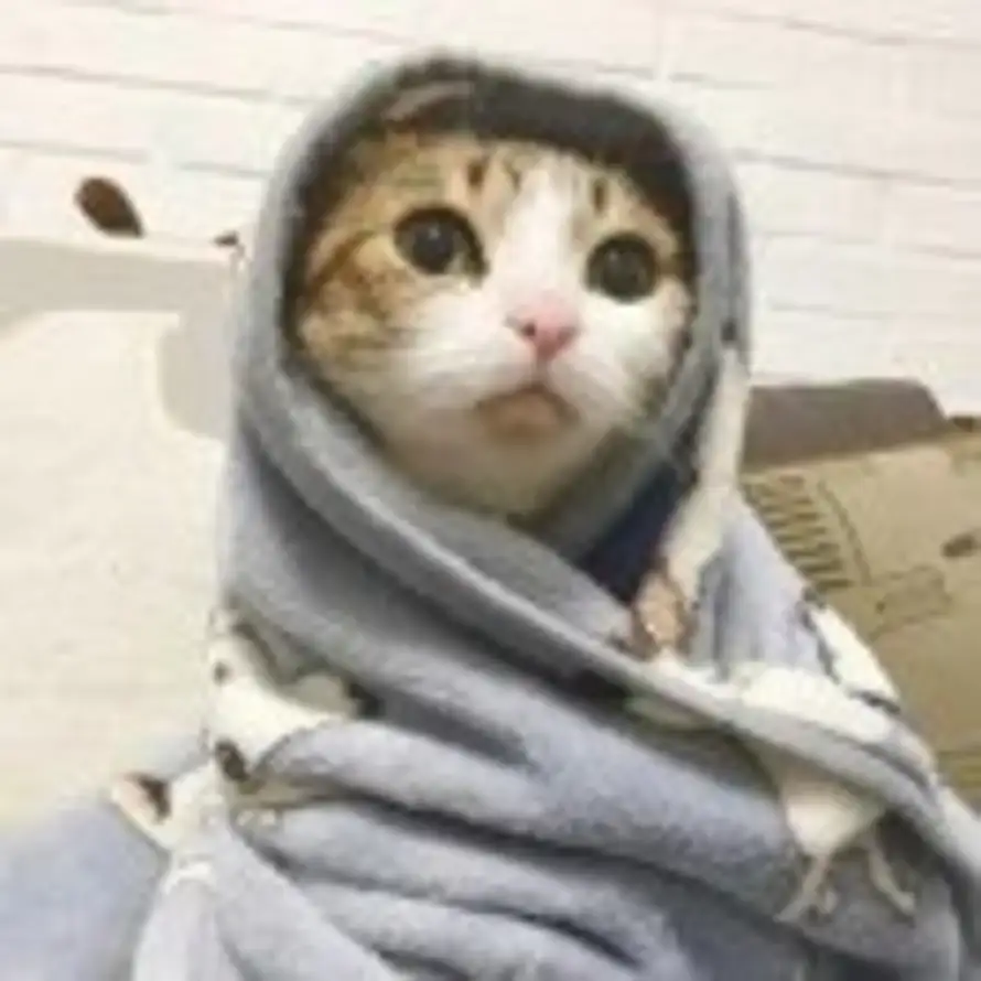 淡忒的头像