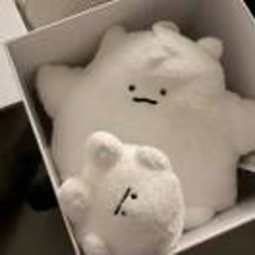 saury的头像