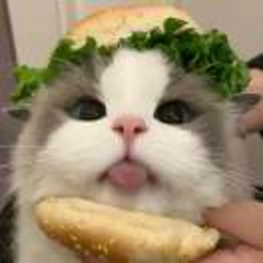 я的头像