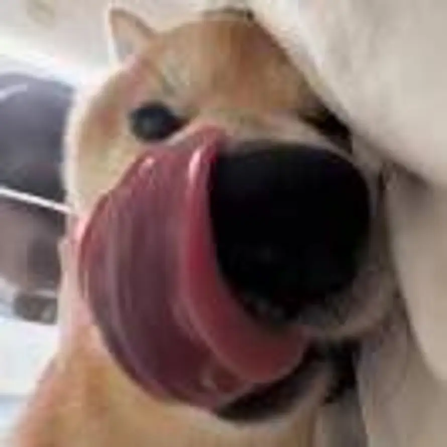 Ophelia的头像