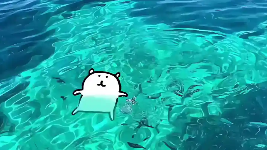最喜欢的图像