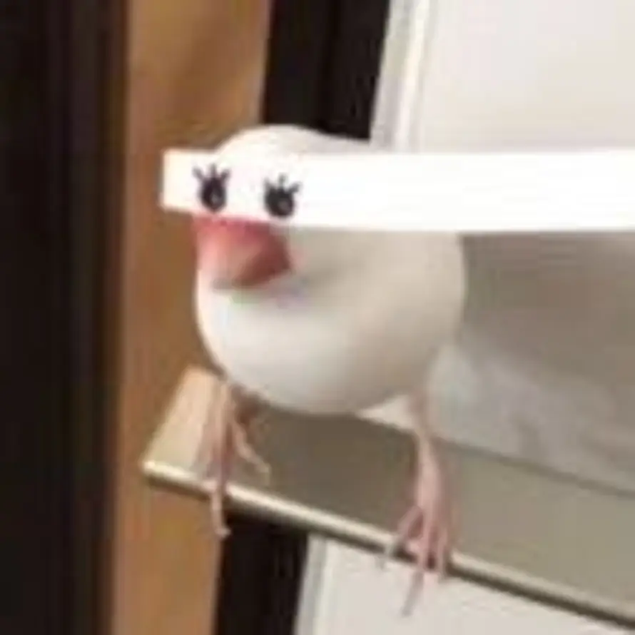 V的头像