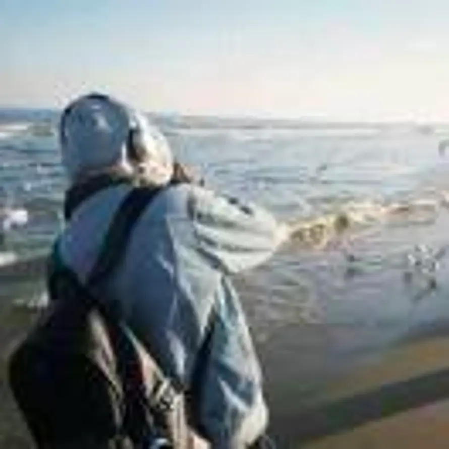 🐬🌊的头像