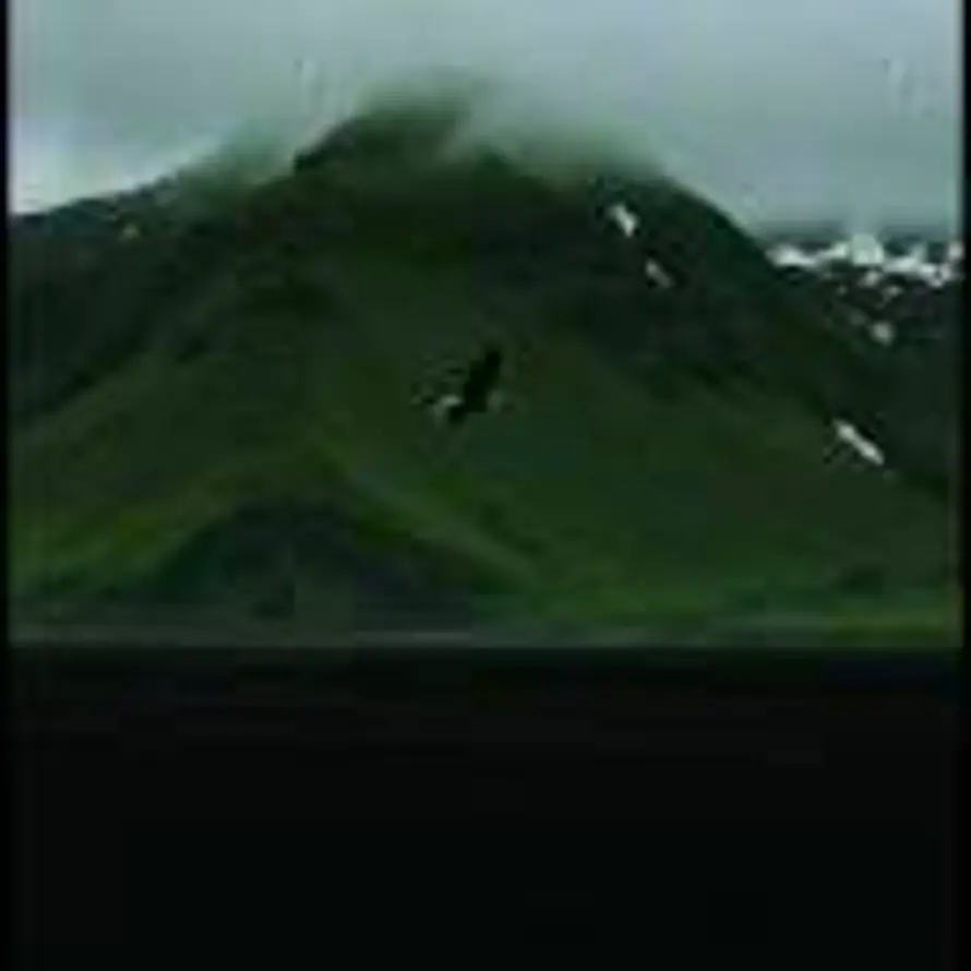 青山的头像