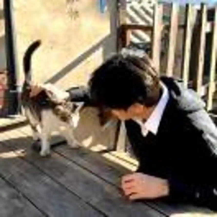 ʕ ᵔᴥᵔ ʔ的头像