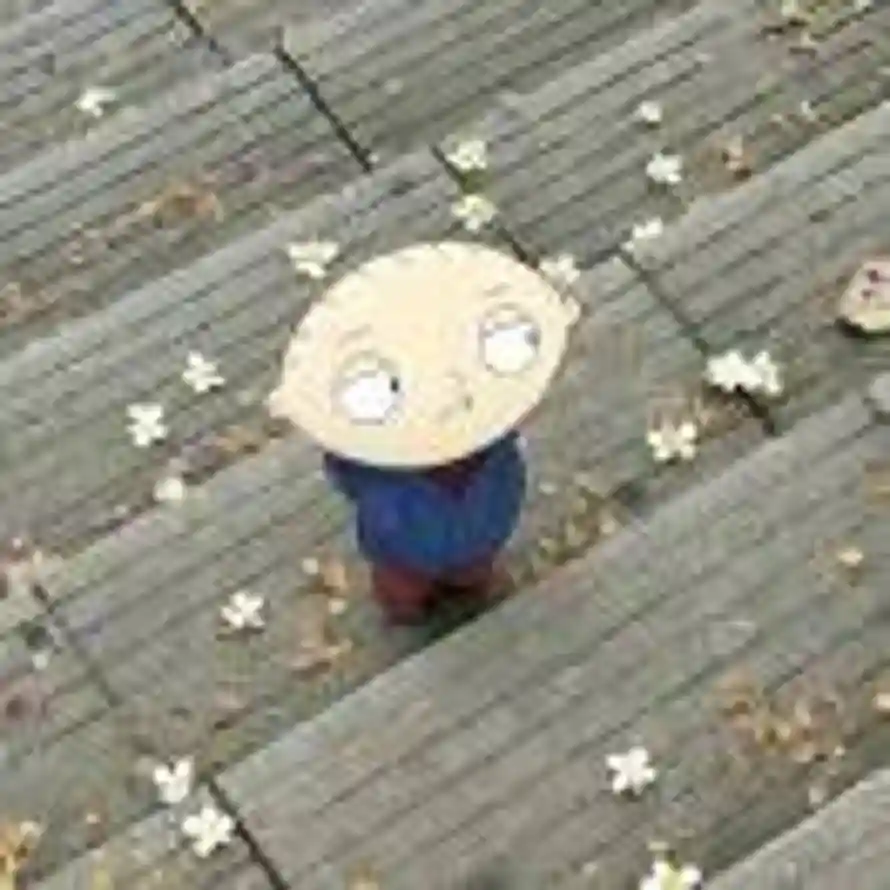 海东青的头像