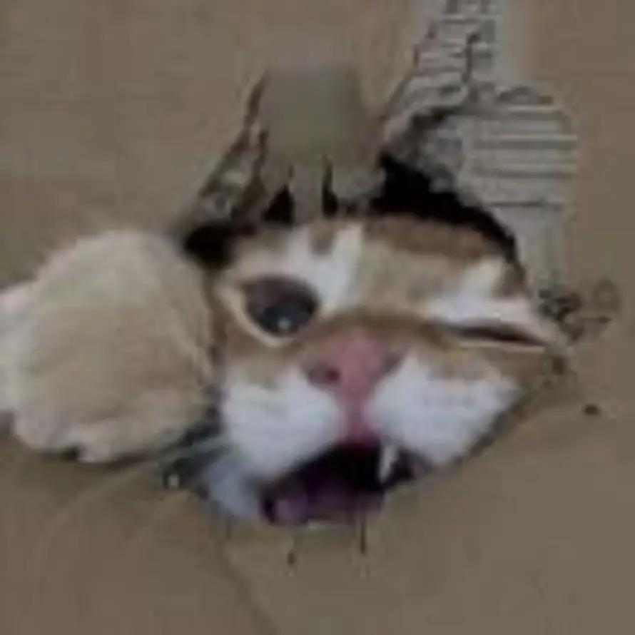 yii的头像