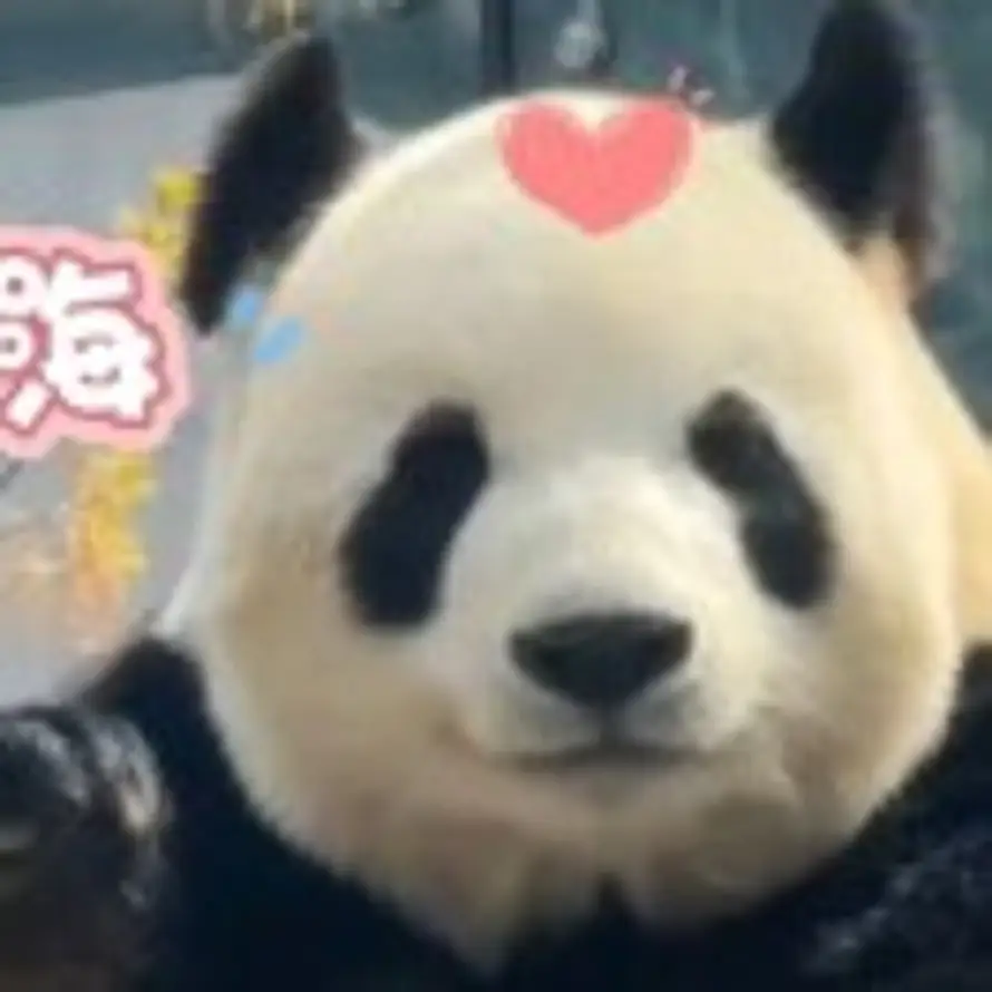 花呗的头像