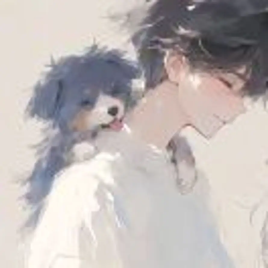 (￣ー￣)的头像